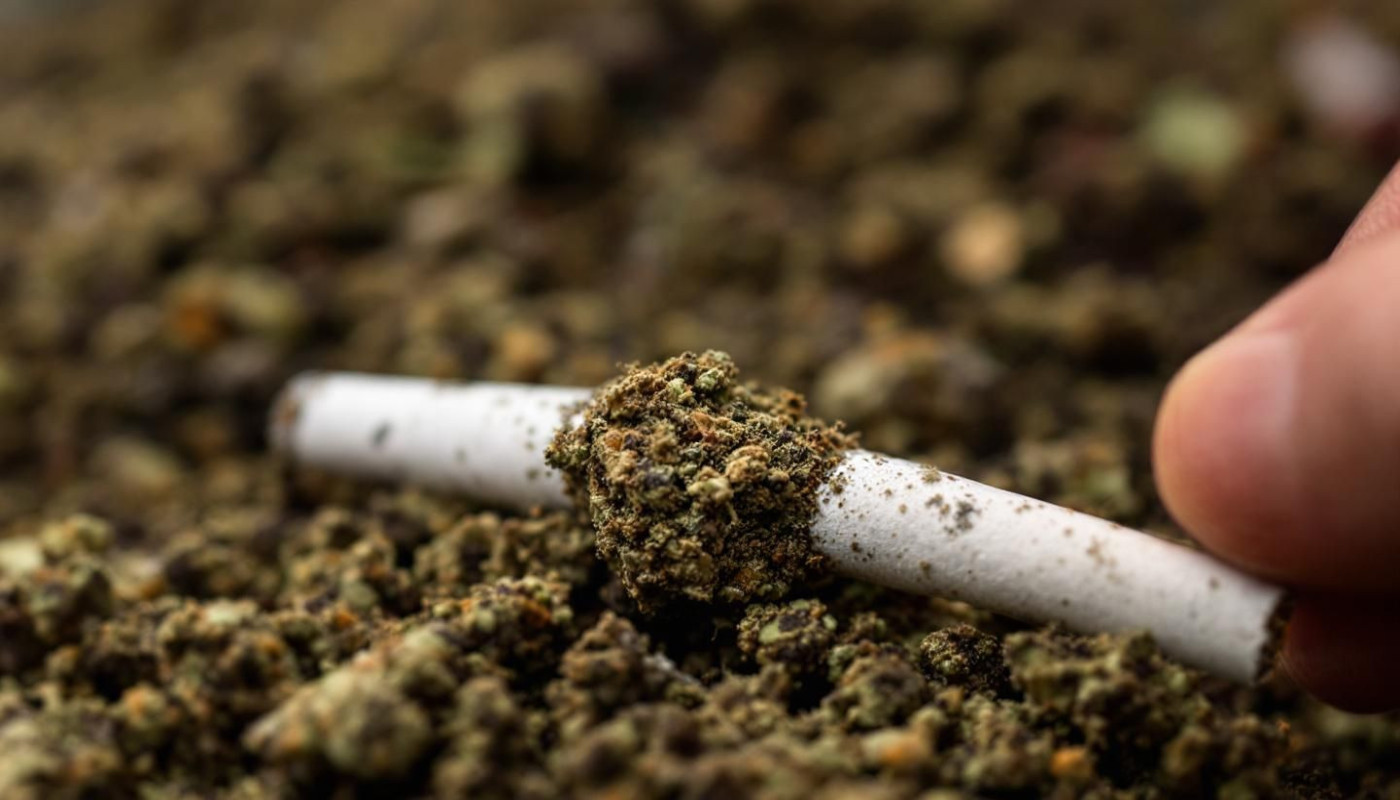 Comment choisir entre cigarettes de plantes et joints sans cannabis ?